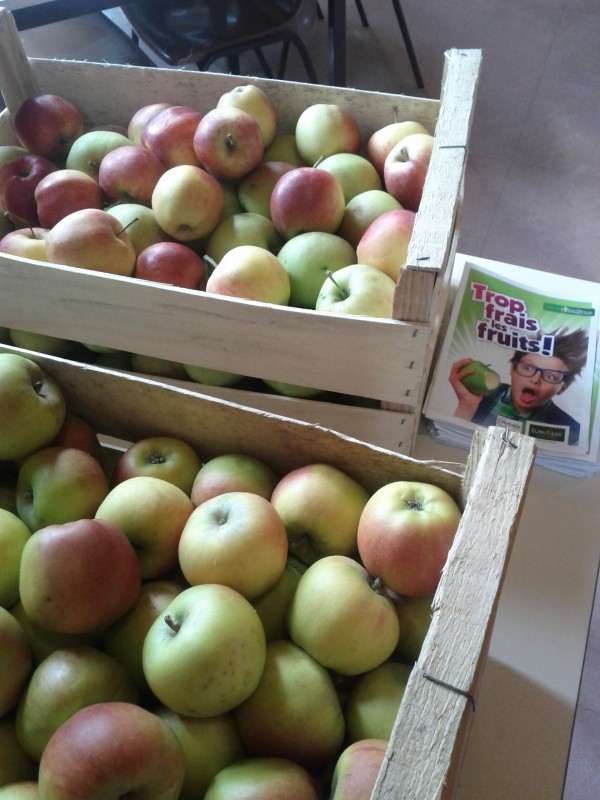 Opération « Fruits au collège »